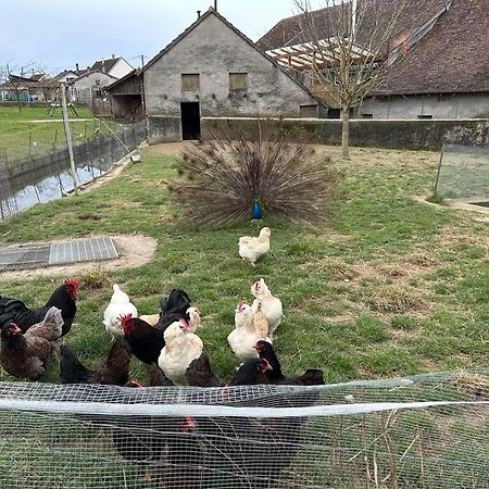 Maison Au Sein D'Une Ferme Villa Rahling Luaran gambar