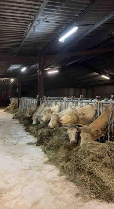 Maison Au Sein D'Une Ferme Villa Rahling Luaran gambar