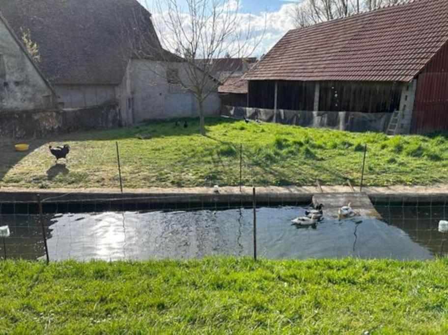 Maison Au Sein D'Une Ferme Villa Rahling Luaran gambar